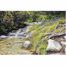 Säubern Sie kalten Strom in hohem Tatras in Slowak Ausschnitt