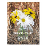 Save the Date: Gänseblümchen u. Schwarzes mit Auge Postkarten