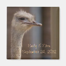 Save the Date Ostrich-Foto-Magnet Kühlschrankmagnete