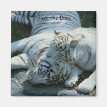 Save the Date weiße Tiger-Magneten