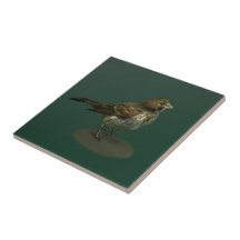 Schäbige kleine Vogel-Keramik-Fliese