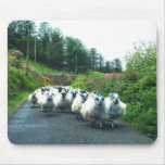 Schafe Mousepad Irlands Beara