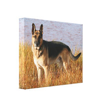 Schäferhund wickelte Leinwand-Druck ein Leinwanddrucke