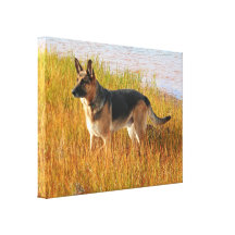 Schäferhund wickelte Leinwand-Druck ein Leinwand Drucke