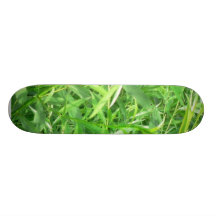 Scharf-Blätter Skateboard Bretter