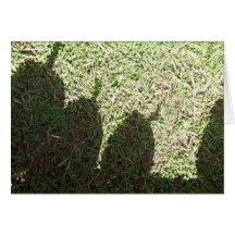 Schatten-Kürbise Grußkarte