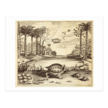 Schildkröte-Eier, die vorbei, "von der China illus Postkarten