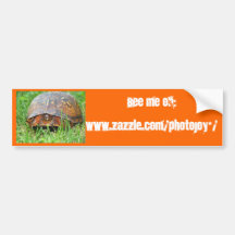 Schildkröte-Einladung, Autoaufkleber