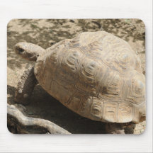 Schildkröte Mousepad