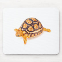 Schildkröte Mousepad