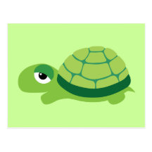 Schildkröte Postkarten