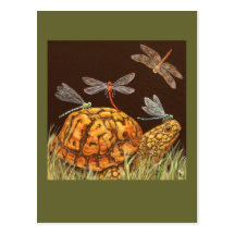 Schildkröte-Schulbuspostkarte