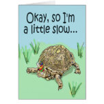 Schildkröte-verspätete späte alles- Gute zum Gebur Karte