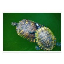 Schildkröteeinladung