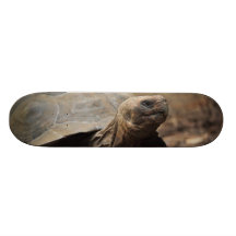 Schildkrötefoto Bedruckte Skateboarddecks