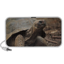 Schildkrötefoto Reise Lautsprecher