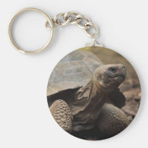 Schildkrötefoto Schlüsselanhänger