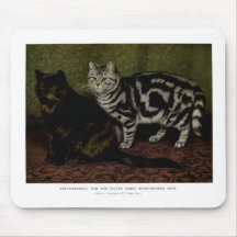 Schildpatt Tom und graue Tabby-Katzen-Grafik Mousepad