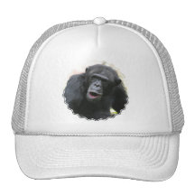 Schimpanse-Chat-Baseball-Hut Caps