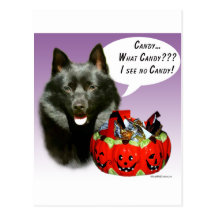 Schipperke-Halloween-Süßigkeit Postkarte