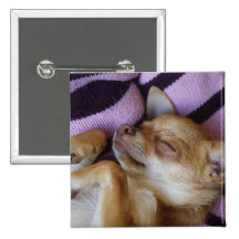 SchlafenChihuahua Anstecknadel