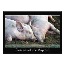 Schlafende Schweine, Sleepovereinladung