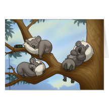 Schlafenkoala-Karte