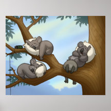 Schlafenkoala-Plakat