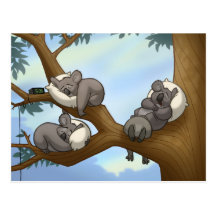 Schlafenkoala-Postkarte