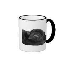 SchlafenLabrador-Kaffeetasse