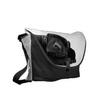 SchlafenLabrador-Welpen-Bote-Tasche Kurier Taschen