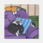 Schläfrige Katzen auf Sofa-wunderlichem Magneten