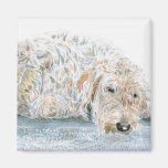 Schläfriger Labradoodle Magnet Kühlschrankmagnet