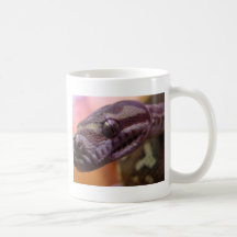 Schlangen-Blick auf mich… Kaffee Tassen