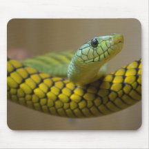 Schlangen-Reptil Mousepad