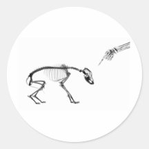 Schlechtes Hunderöntgenstrahl-Skelett in Schwarzem Runder Sticker