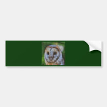 Schleiereule Autosticker