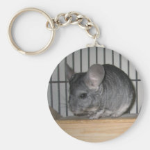 Schließlich Zuhause-Chinchillas: Cheeko Schlüsselband