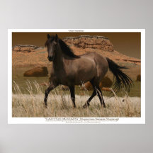 SCHLUCHT-MUSTANG Pferdeerhaltungs-Kunst-Druck Posterdrucke