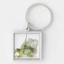 Schlüsselanhänger Leguan