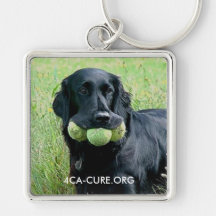 Schlüsselkette 4CA-CURE.ORG Schlüsselbänder