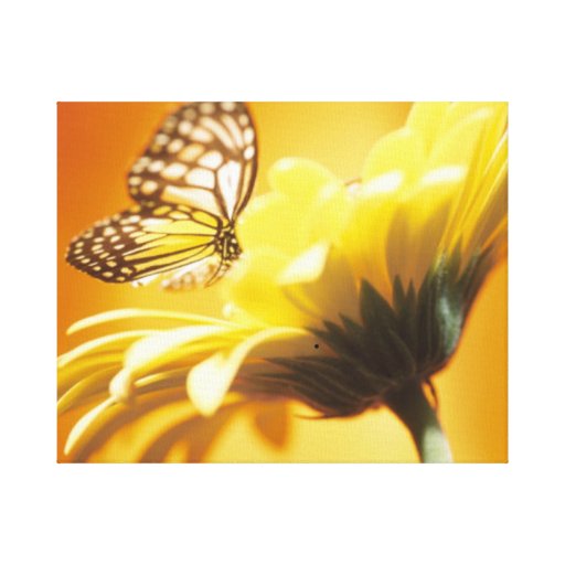 Schmetterling auf Blume eingewickelter Leinwand-Ku Galerie Gefaltete Leinwand