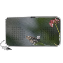 Schmetterling auf einem Blatt iPod Speaker