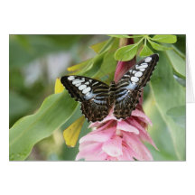 Schmetterling auf rosa Blumen-Anmerkungs-Karte