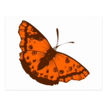 Schmetterling butterfly postkarte
