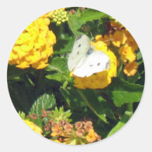 Schmetterling im Blumen-Aufkleber