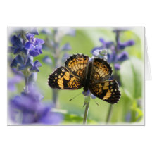 Schmetterling Karte