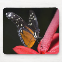 Schmetterling Mousepad mousepads