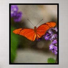 Schmetterling Poster