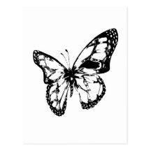 Schmetterling Postkarten